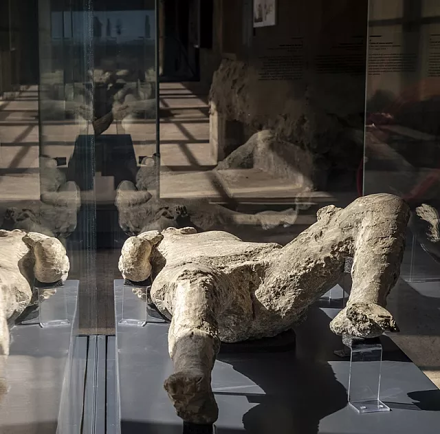 πομπηία, νεκροί