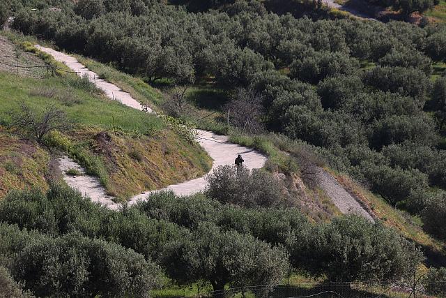 ερευνες για Ελευθερία Γιακουμάκη