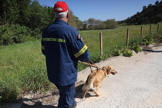 ερευνες για Ελευθερία Γιακουμάκη