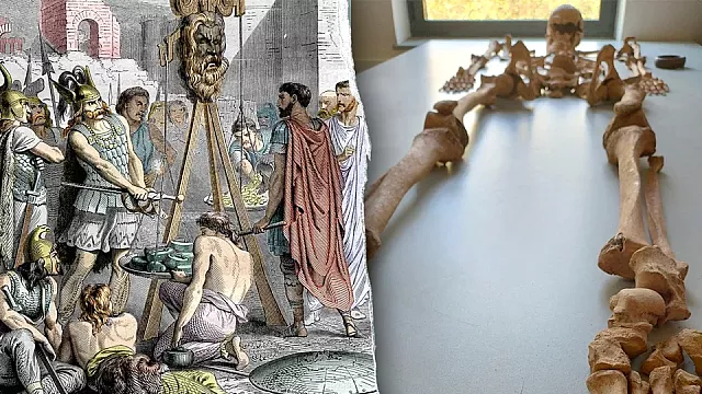 σκελετοι σε σχολικη αυλή