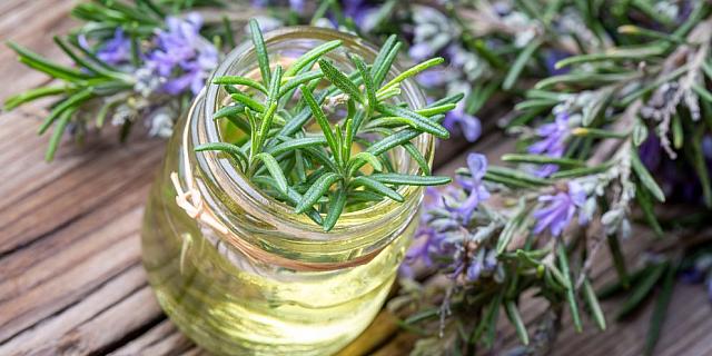 δεντρολίβανο