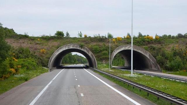 αυτοκινητόδρομος