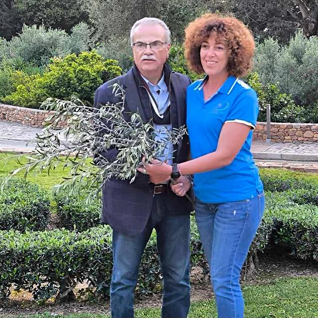 κοτινος μαλανδρακης