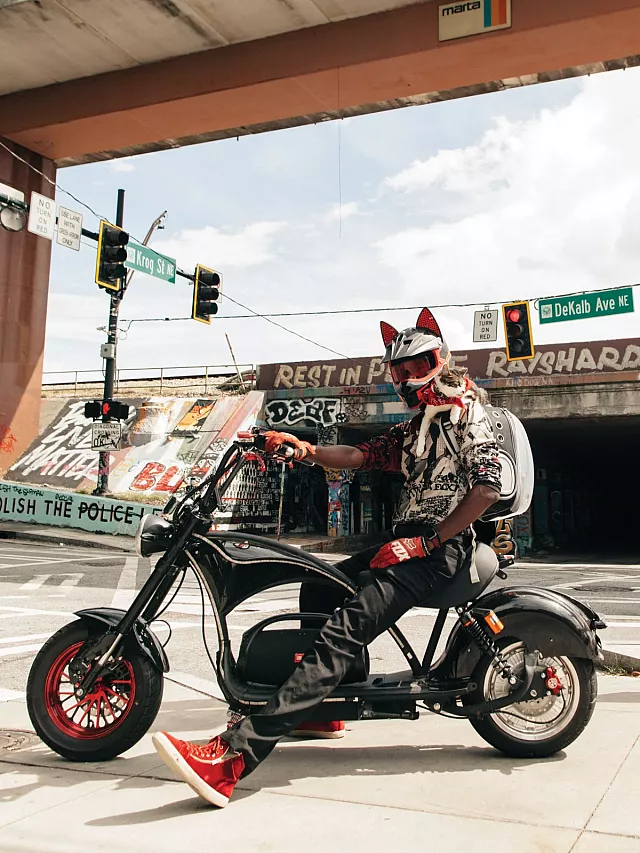 γάτα επιβάτης