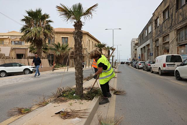 εργασίες συντήρησης και καλλωπισμού