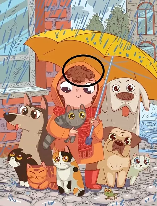 ψευδαίσθηση, κόκκαλο