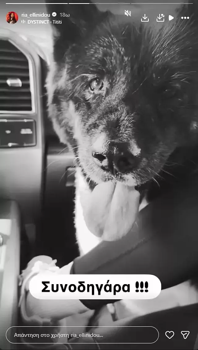 αλεξάνδρου