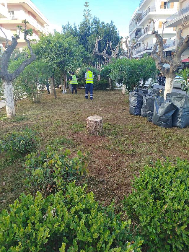 αγιος νικολαος εργασιες πρασινου