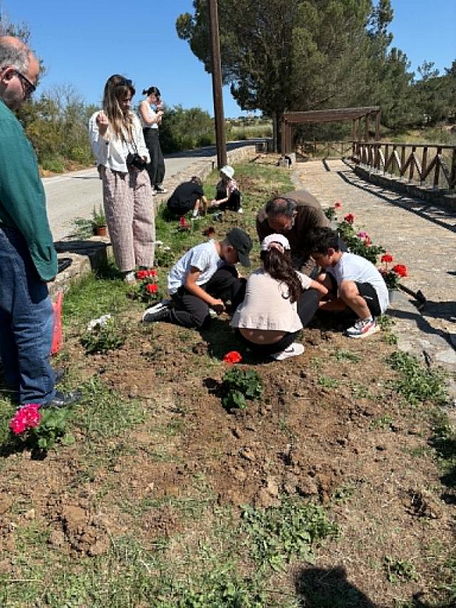 Δράση δεντροφύτευσης και καλλωπισμού