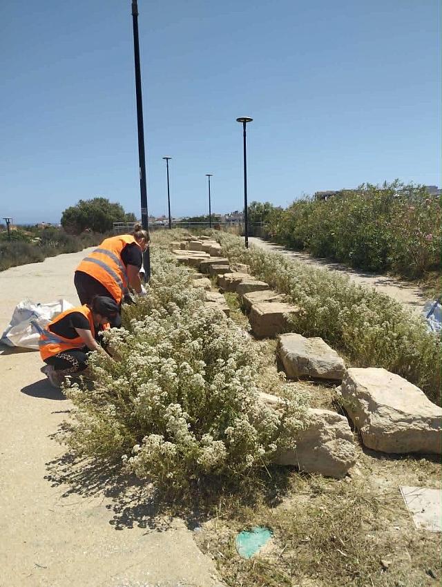 Υπηρεσία Πρασίνου 