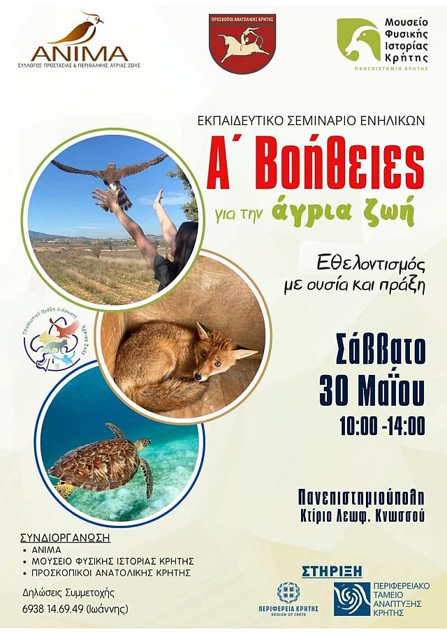 α' βοήθειες άγριων ζώων