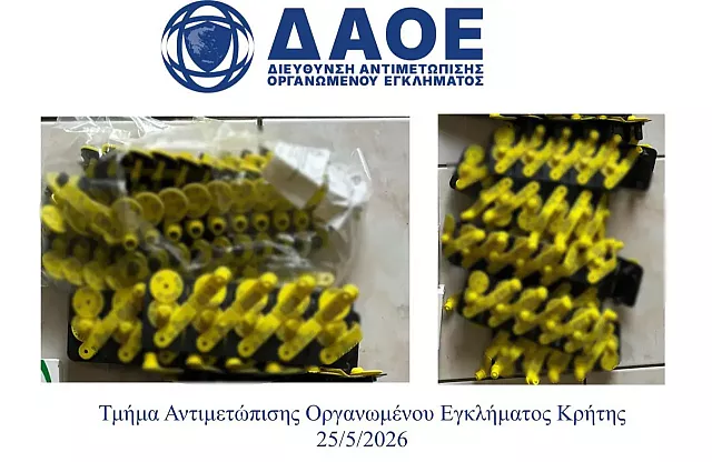 ΔΑΟΕ