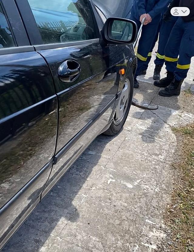 φιδι σε αυτοκινητο