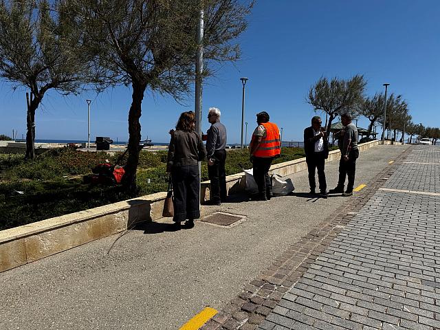 Παρεμβάσεις στο πράσινο