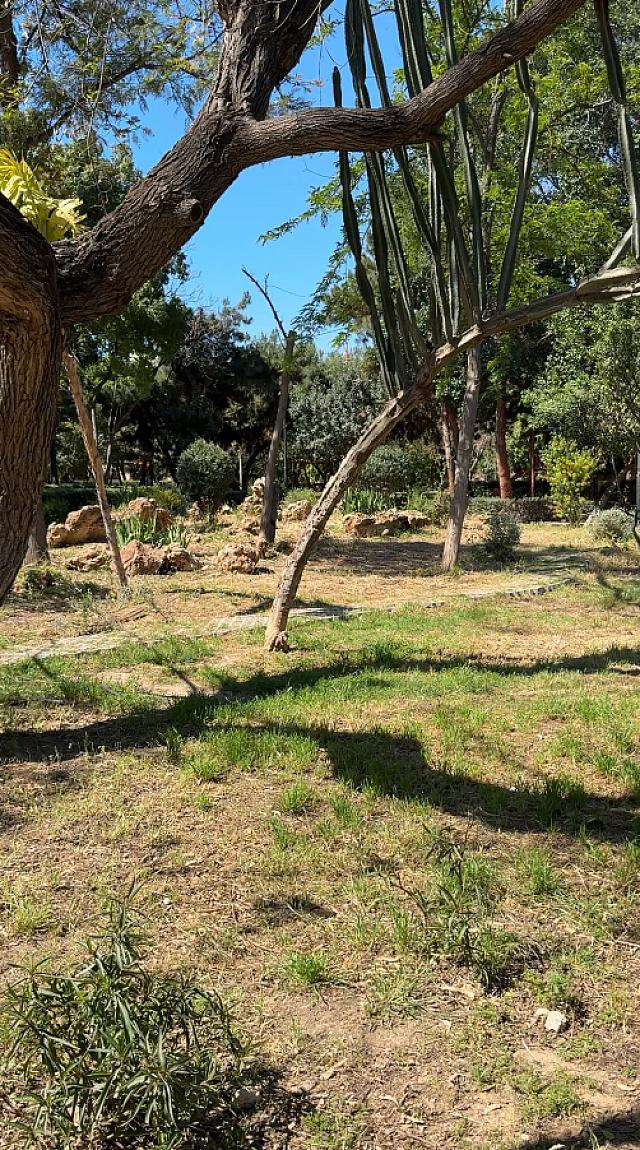 Παρεμβάσεις στο πράσινο