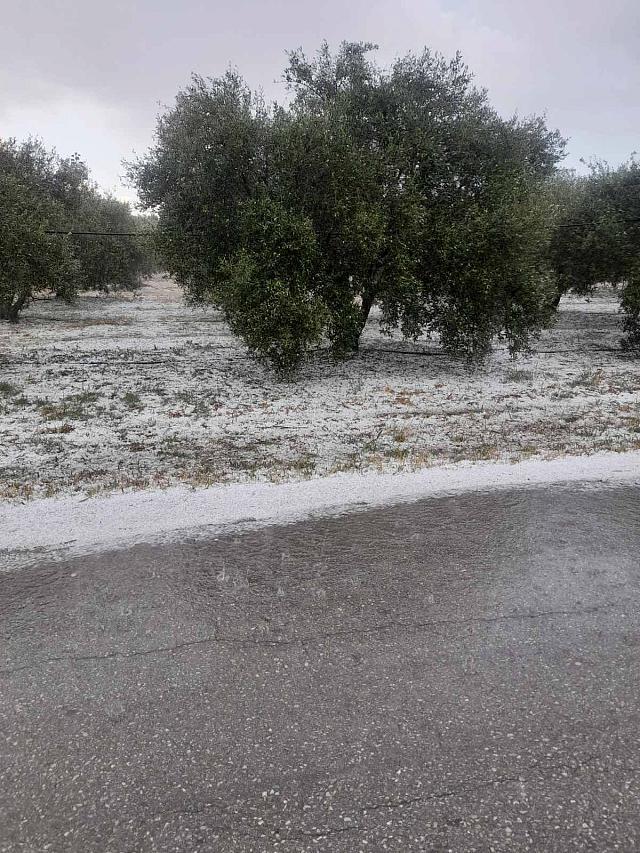 Στέρνες Δήμου Γόρτυνας - Πολυτίμη παπαδάκη