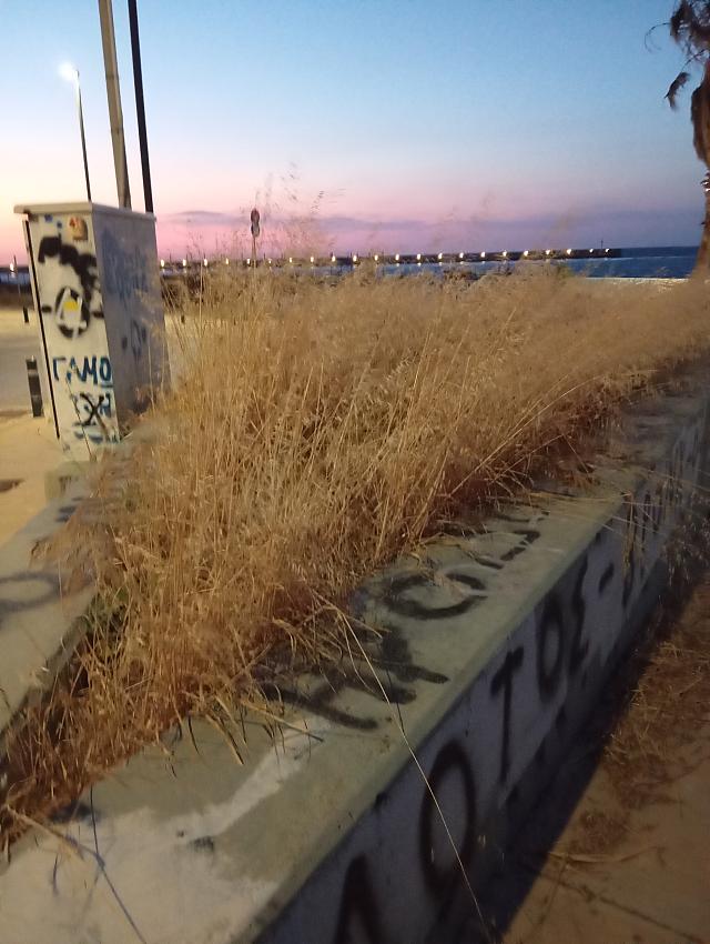 πάρκο νέας αλικαρνασσού