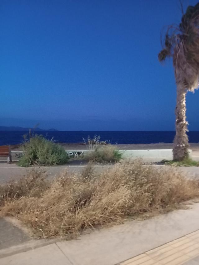 πάρκο νέας αλικαρνασσού