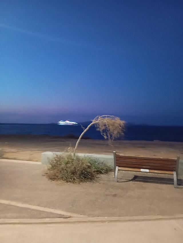 πάρκο νέας αλικαρνασσού