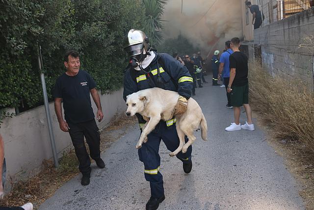 Φωτιά στον Αη Γιάννη Χωστό