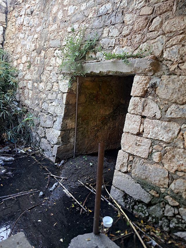 παρκο ευκαλυπτων ηρακλειο