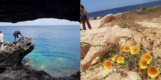 κεπεα αγιου βασιλειου στην κυπρο