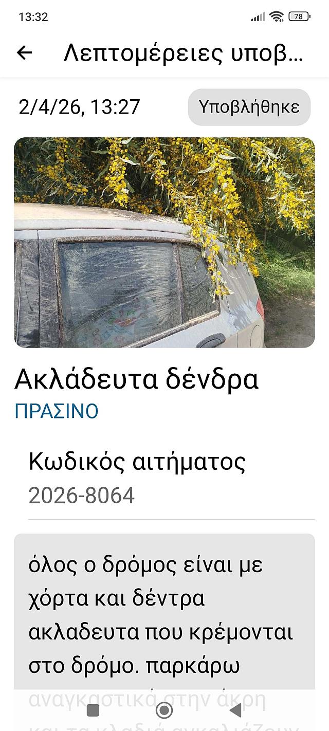 αμάξι - δέντρα 