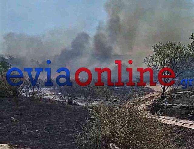 Αλιβέρι