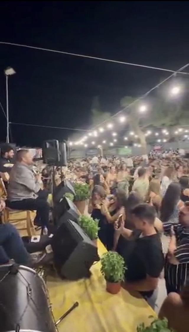 Γιορτή αγνόπιτας