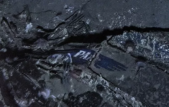 ΣΥΝΤΡΙΜΜΙΑ ΠΤΗΣΗ