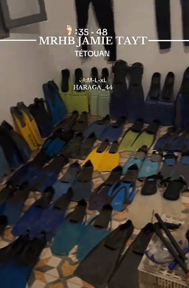 Βατραχοπέδιλα