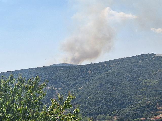 ΦΩΤΙΑ ΝΕΡΟΜΑΝΑ