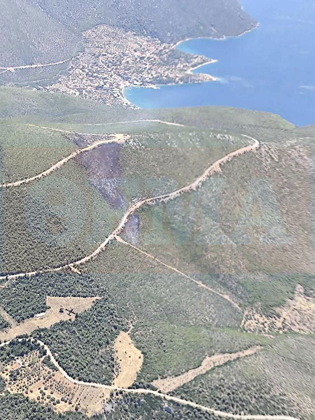 Φωτογραφία φωτιά Βοιωτία