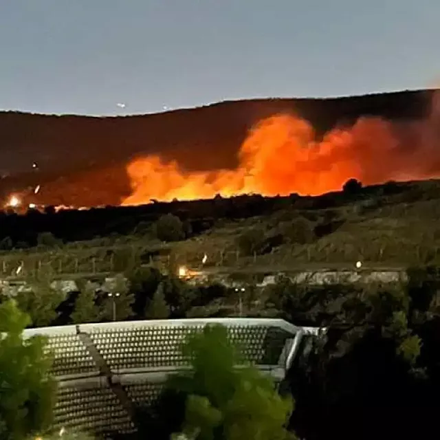 φωτια σαλαμινα