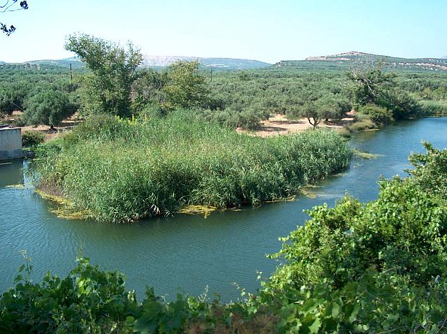Ίνι