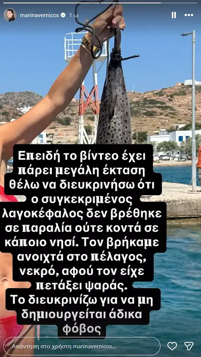 βερνίκου