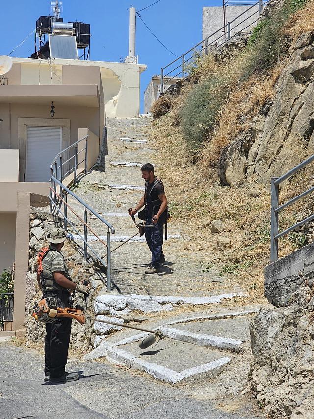 πράσινο 