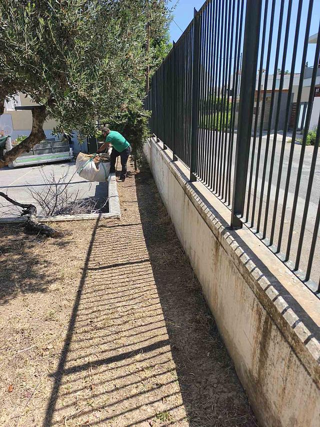 Αυτοψία Καλοκαιρινού