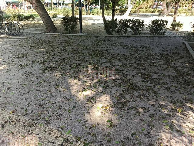 πάρκο γεωργιάδη βουλωμένα φρεάτια