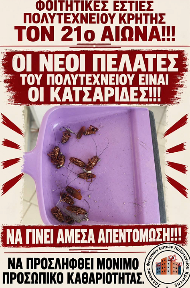 Κατσαρίδες