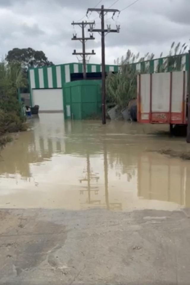 φοινικια πλημμυρα