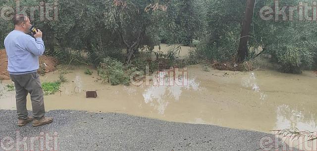 μαλάδες βροχή
