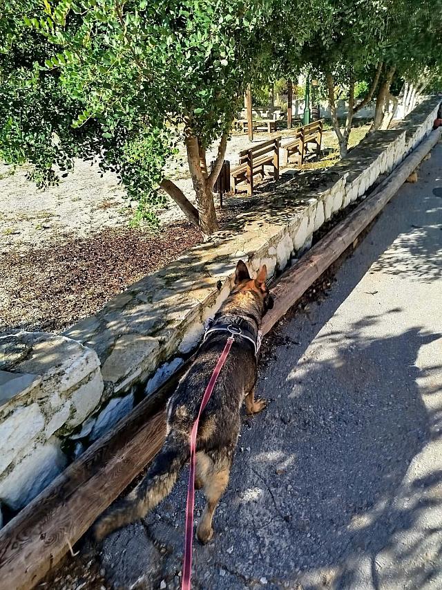 Εντόπισαν 10 ύποπτα δολώματα 