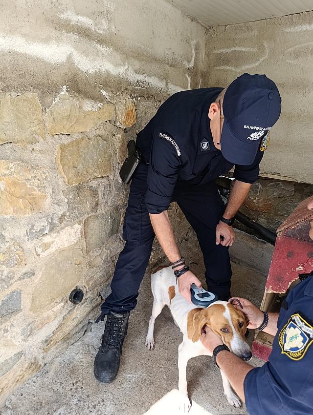 Αστυνομία Ζωων
