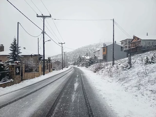 Σέλι