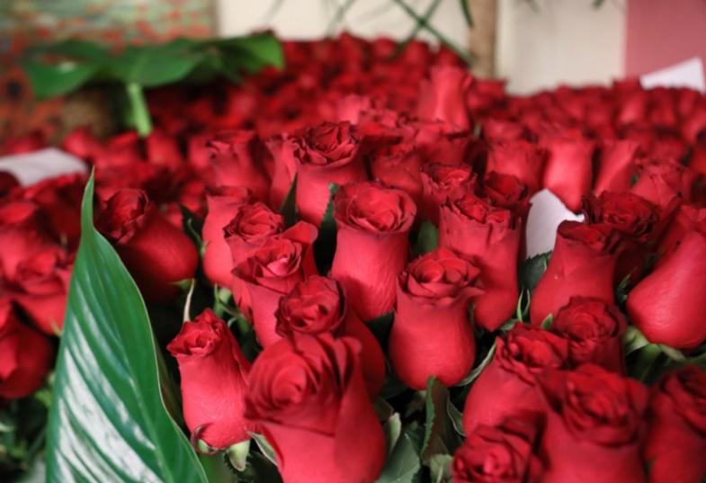 τριαντάφυλλα