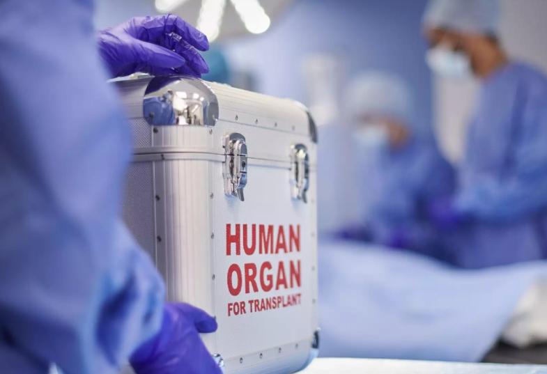 δωρεα οργάνων