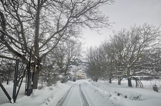Φωτογραφία με χιόνια από το Οροπέδιο Λασιθίου