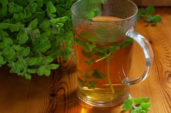 Τσάι Ρίγανης