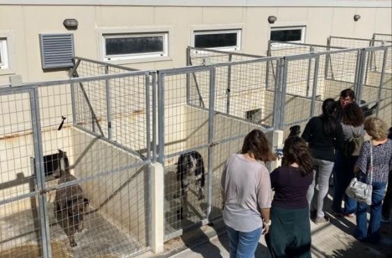 Κυνοκομείο